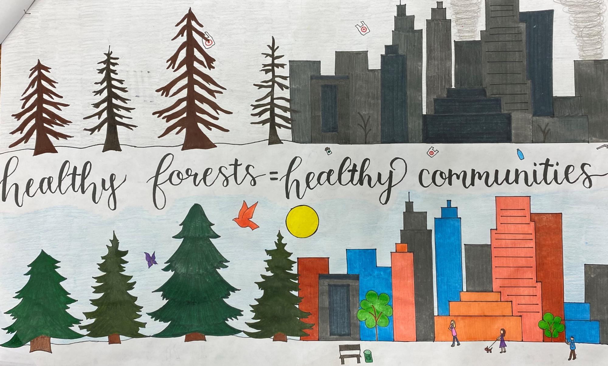 2019 Conservation Poster Contest – Extension Forest County