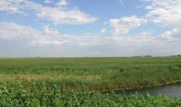 view of the lake
