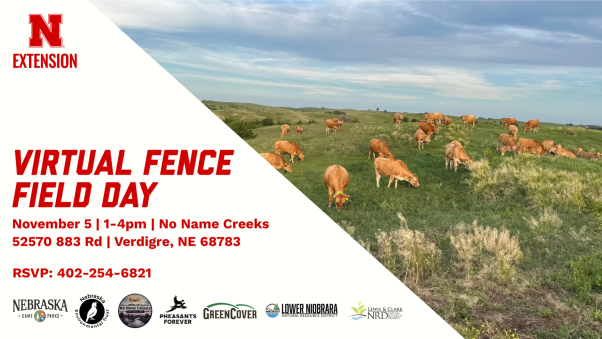 Field Day Advertisement