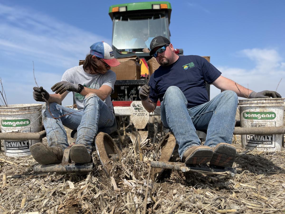 NRD Staff Plant Trees