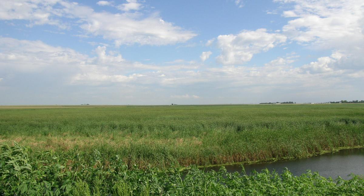 view of the lake