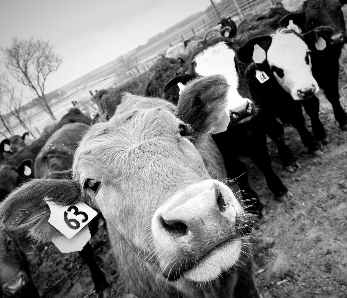 First Place Photo Contest Winner