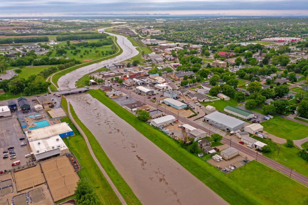  Papio NRD