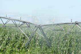  Nebraska is #1 in irrigated acres while maintaining groundwater levels at pre-developed levels.