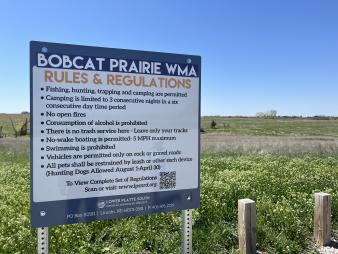 Bobcat Prairie