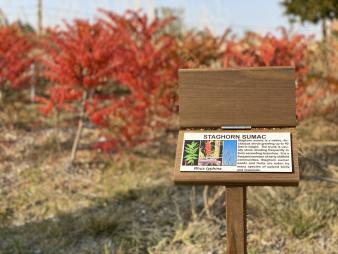 Thedford Arboretum