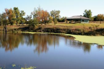 Liberty Cove