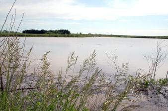 Roseland Lake