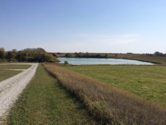 Swanton WMA