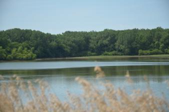 Tanglewood Lake