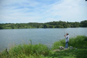 Timber Point Wetland