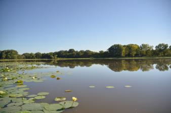Wild Plum Lake